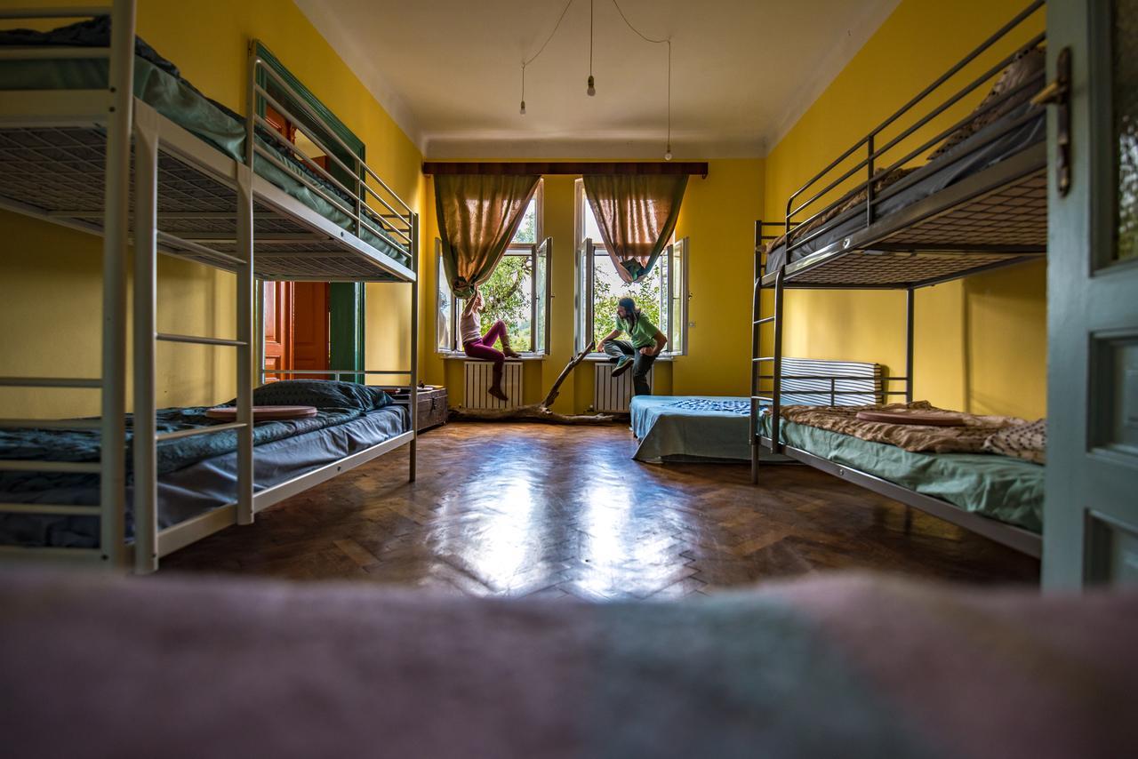 Mountain Tale Hostel Brassó Kültér fotó