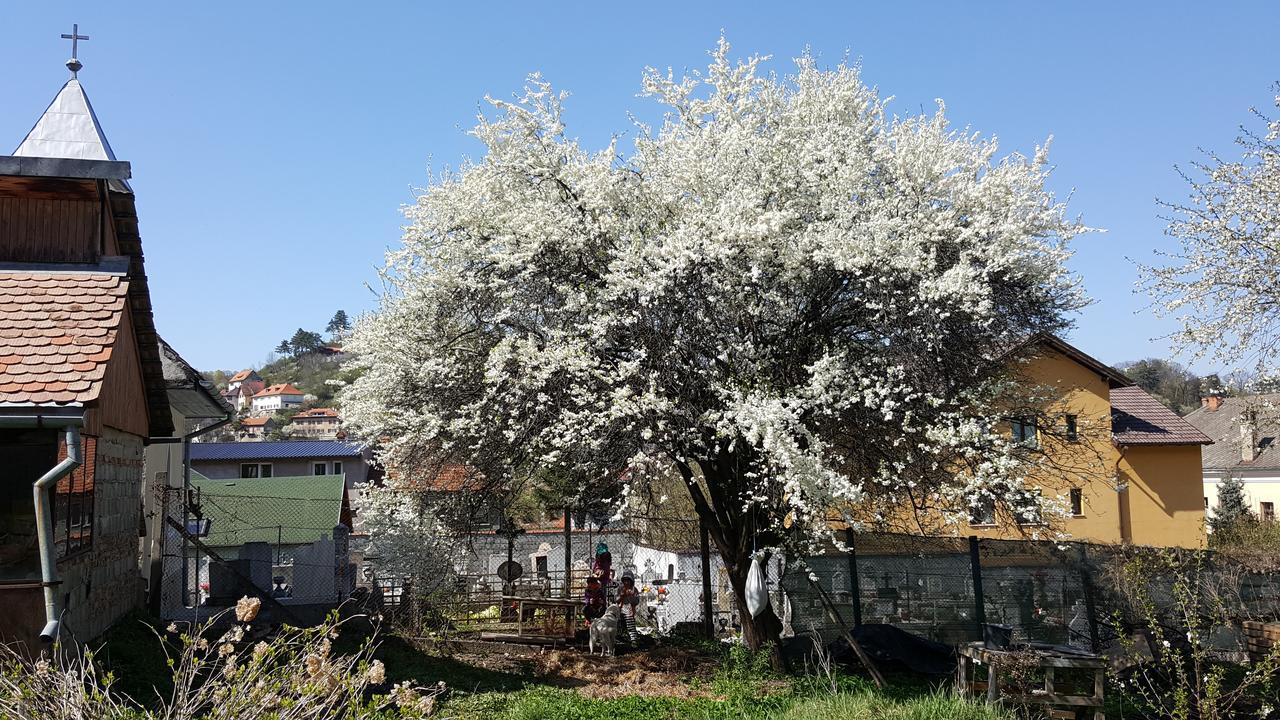 Mountain Tale Hostel Brassó Kültér fotó