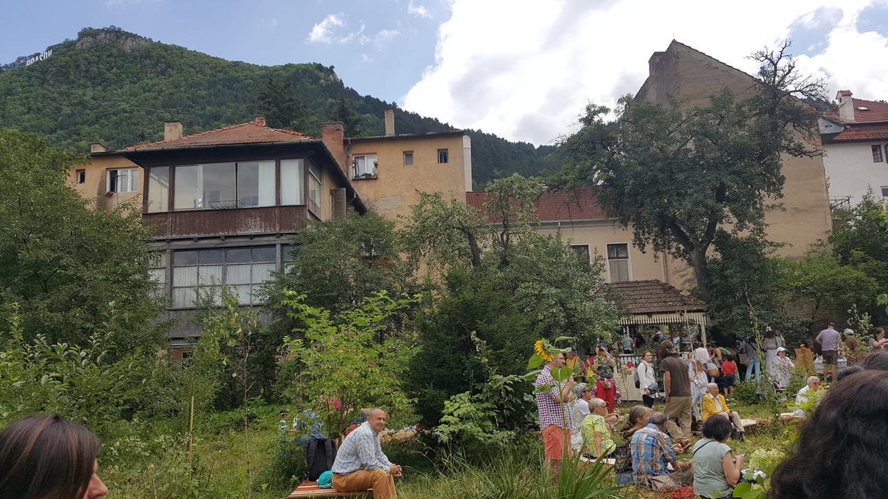 Mountain Tale Hostel Brassó Kültér fotó