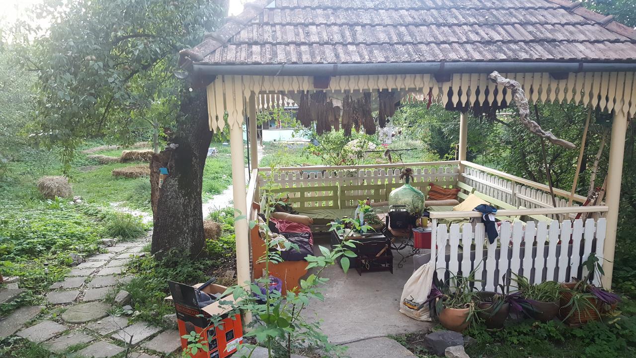 Mountain Tale Hostel Brassó Kültér fotó