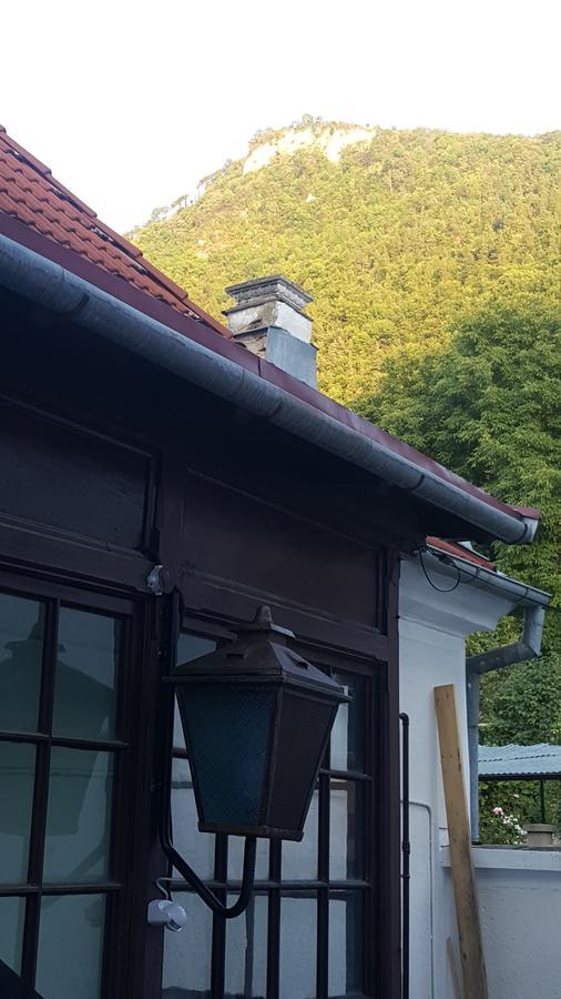 Mountain Tale Hostel Brassó Kültér fotó