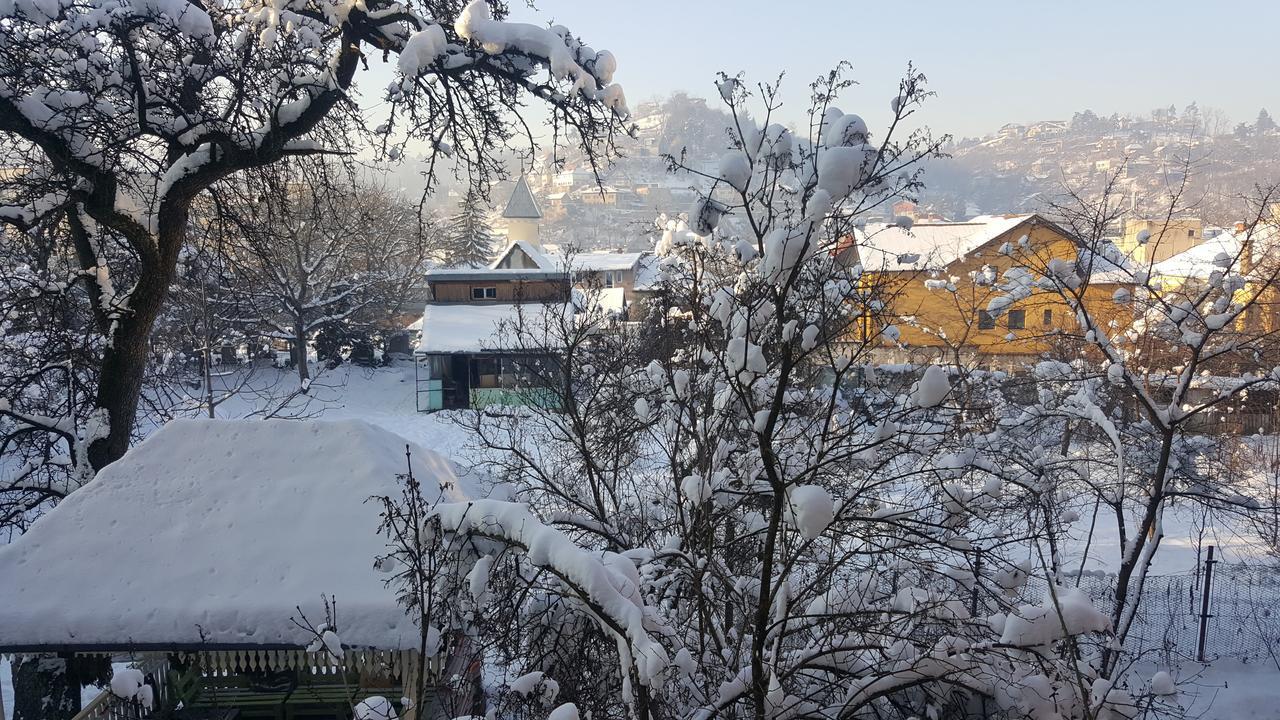 Mountain Tale Hostel Brassó Szoba fotó