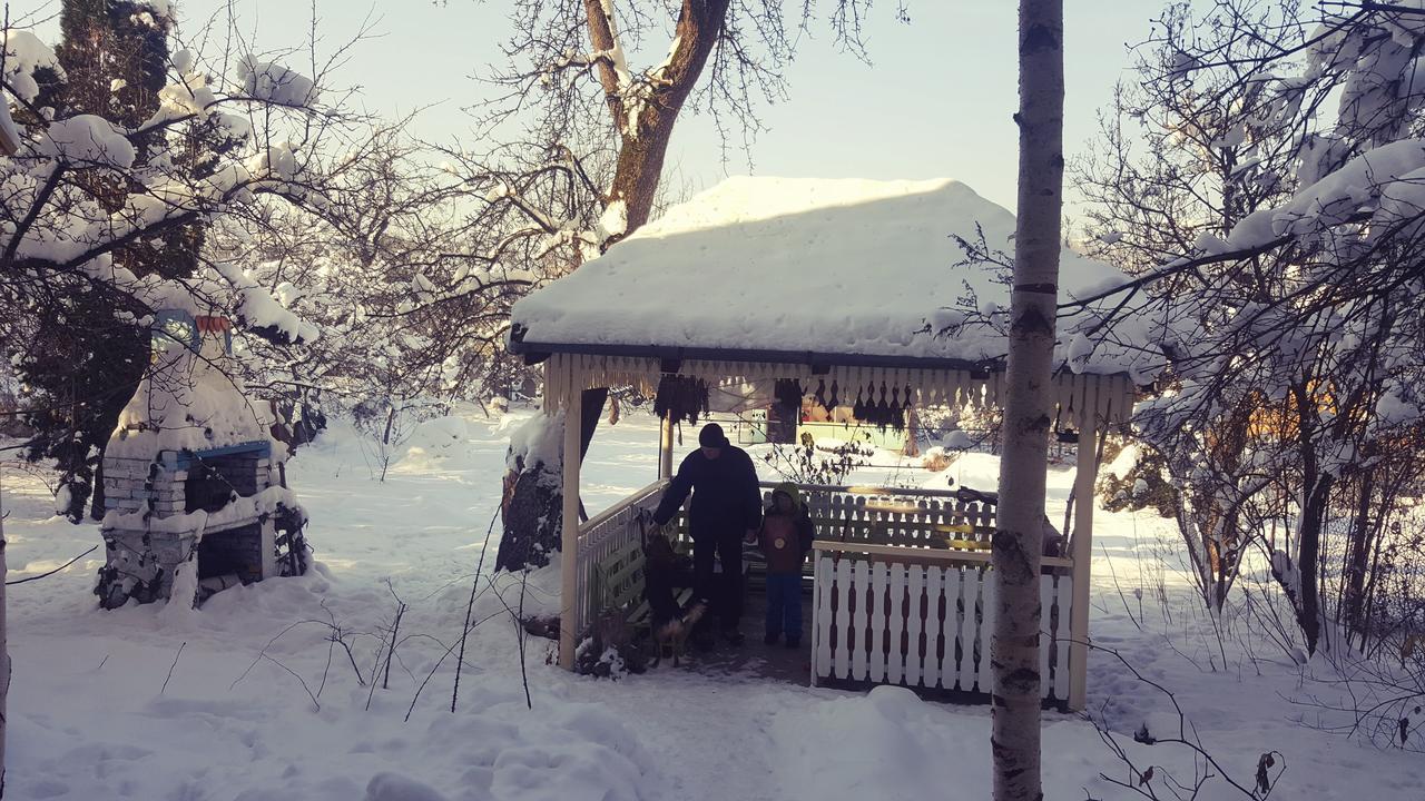 Mountain Tale Hostel Brassó Kültér fotó