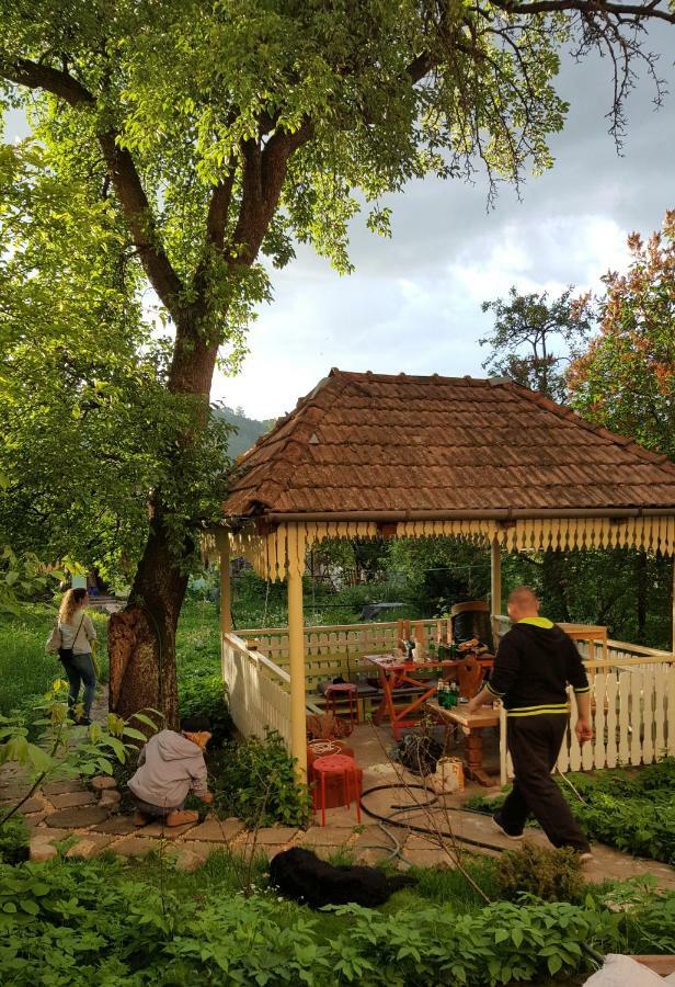 Mountain Tale Hostel Brassó Kültér fotó
