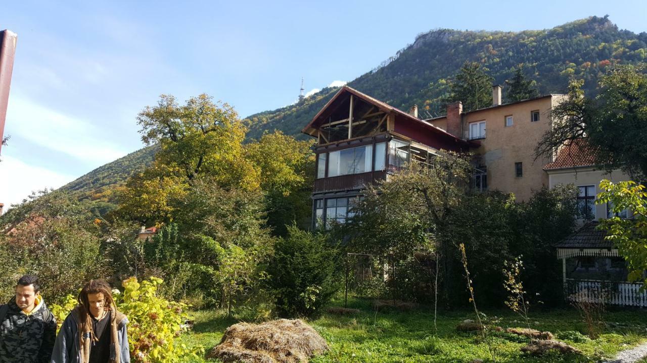 Mountain Tale Hostel Brassó Kültér fotó