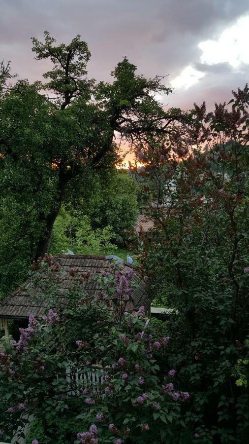Mountain Tale Hostel Brassó Kültér fotó